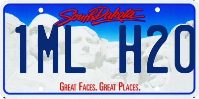 SD license plate 1MLH20