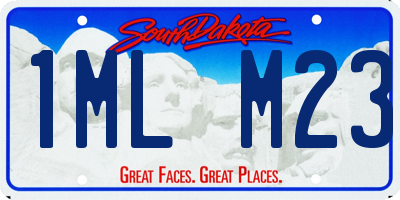 SD license plate 1MLM23