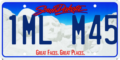 SD license plate 1MLM45