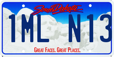 SD license plate 1MLN13