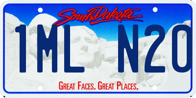 SD license plate 1MLN20