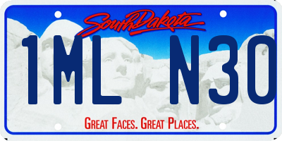 SD license plate 1MLN30