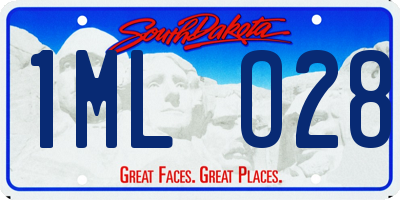 SD license plate 1MLO28
