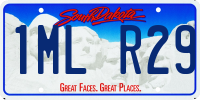 SD license plate 1MLR29