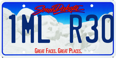 SD license plate 1MLR30