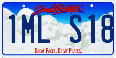 SD license plate 1MLS18