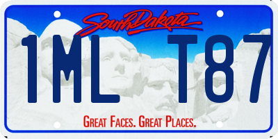 SD license plate 1MLT87