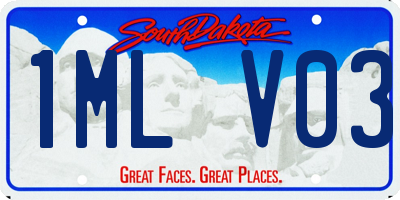 SD license plate 1MLV03