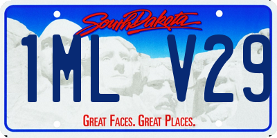 SD license plate 1MLV29