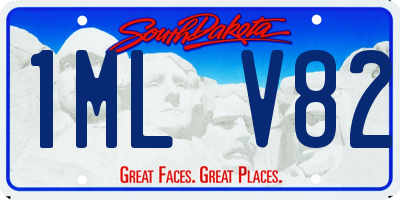 SD license plate 1MLV82