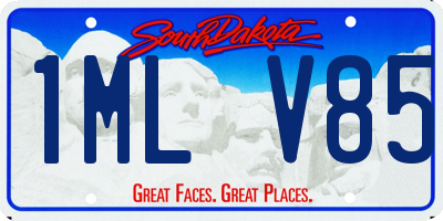 SD license plate 1MLV85