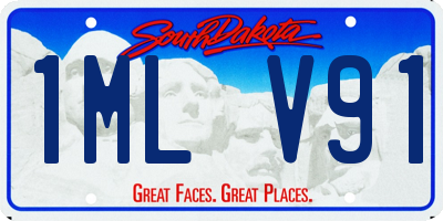 SD license plate 1MLV91