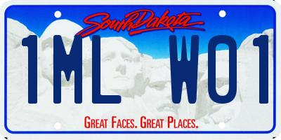 SD license plate 1MLW01