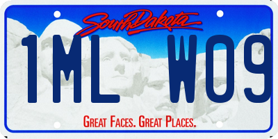 SD license plate 1MLW09