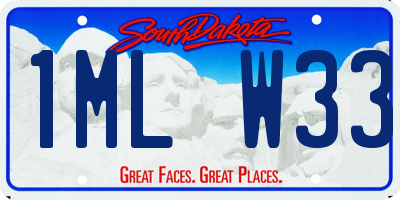 SD license plate 1MLW33