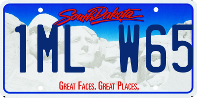 SD license plate 1MLW65
