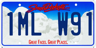 SD license plate 1MLW91