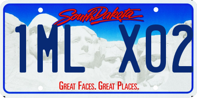 SD license plate 1MLX02