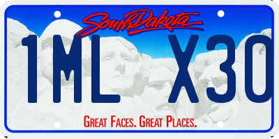 SD license plate 1MLX30