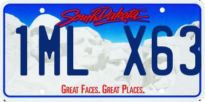 SD license plate 1MLX63