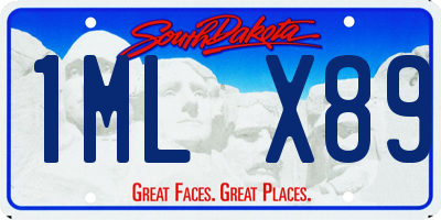 SD license plate 1MLX89