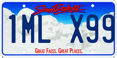 SD license plate 1MLX99