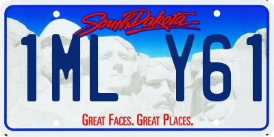 SD license plate 1MLY61
