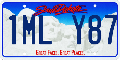 SD license plate 1MLY87