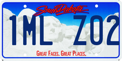 SD license plate 1MLZ02