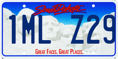 SD license plate 1MLZ29