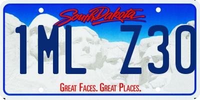 SD license plate 1MLZ30