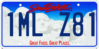 SD license plate 1MLZ81
