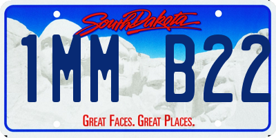 SD license plate 1MMB22