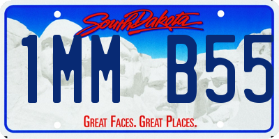 SD license plate 1MMB55