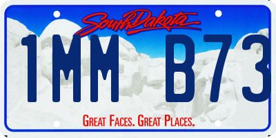 SD license plate 1MMB73