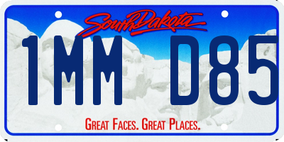 SD license plate 1MMD85