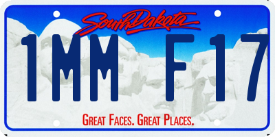 SD license plate 1MMF17