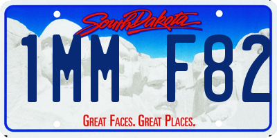 SD license plate 1MMF82