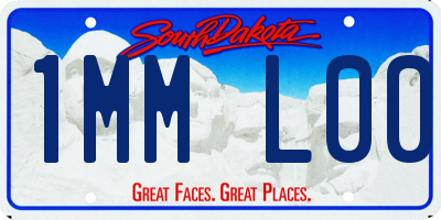SD license plate 1MML00