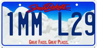 SD license plate 1MML29