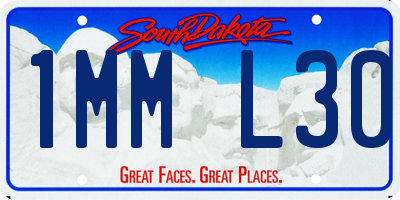 SD license plate 1MML30