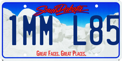 SD license plate 1MML85