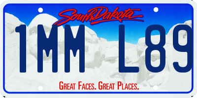SD license plate 1MML89