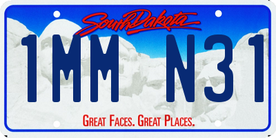 SD license plate 1MMN31