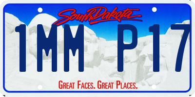 SD license plate 1MMP17