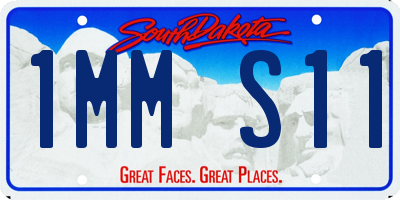SD license plate 1MMS11