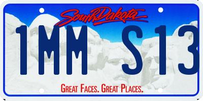 SD license plate 1MMS13
