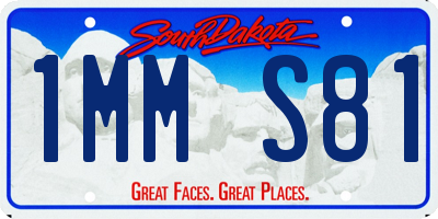 SD license plate 1MMS81