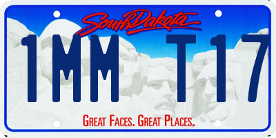SD license plate 1MMT17