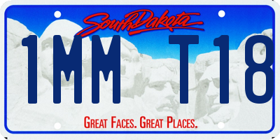 SD license plate 1MMT18